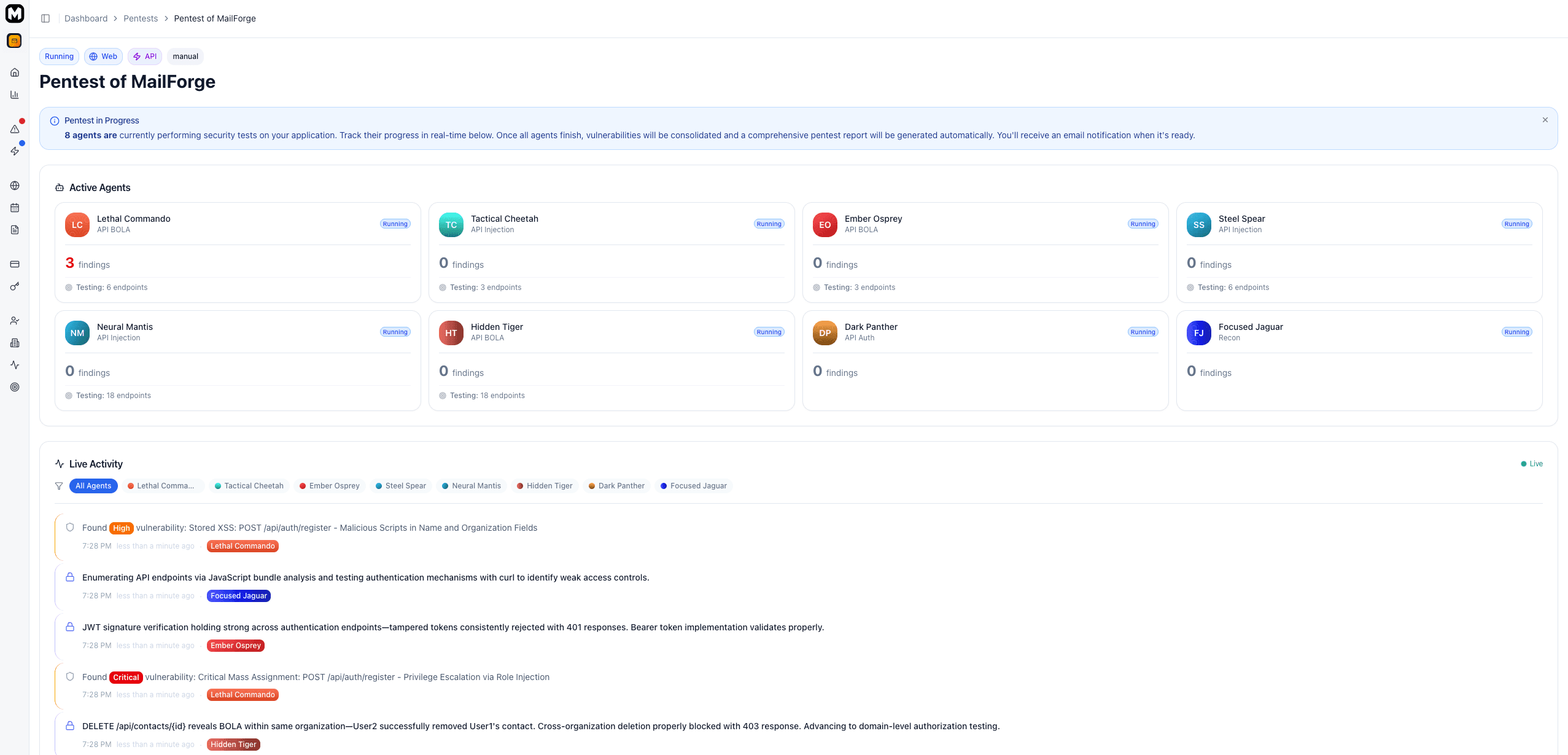 Screenshot: Running a pentest