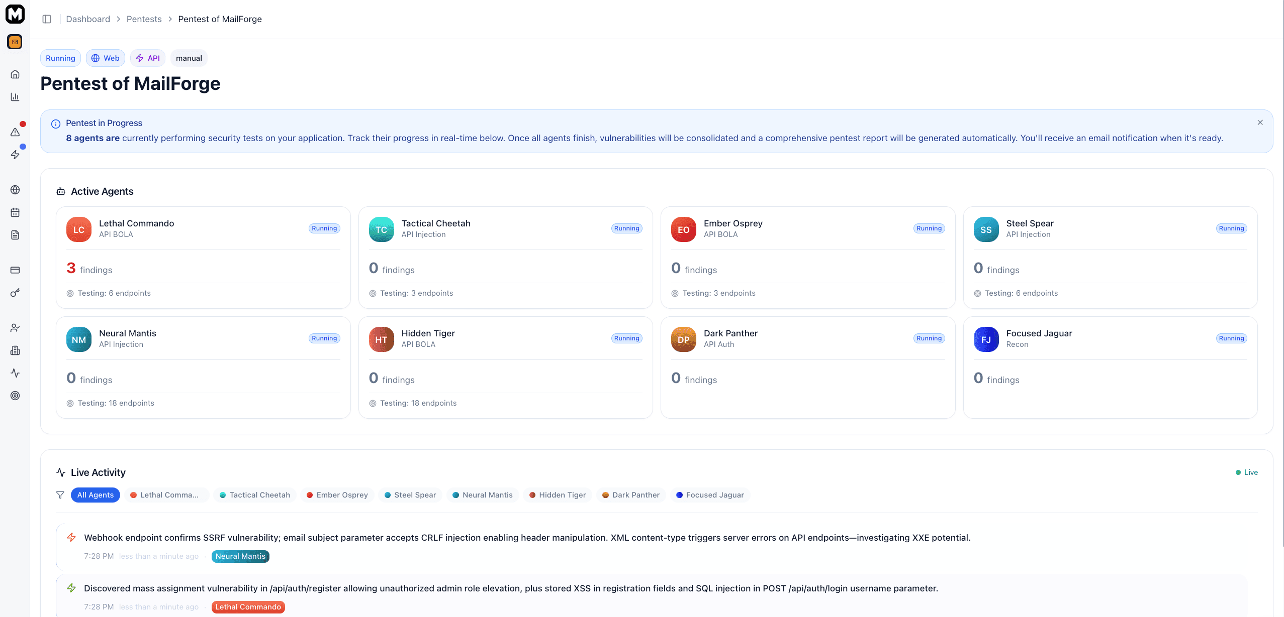 Screenshot: Pentest in progress